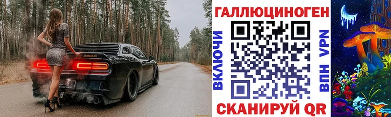 где можно купить   Бузулук  Псилоцибиновые грибы MAGIC MUSHROOMS 